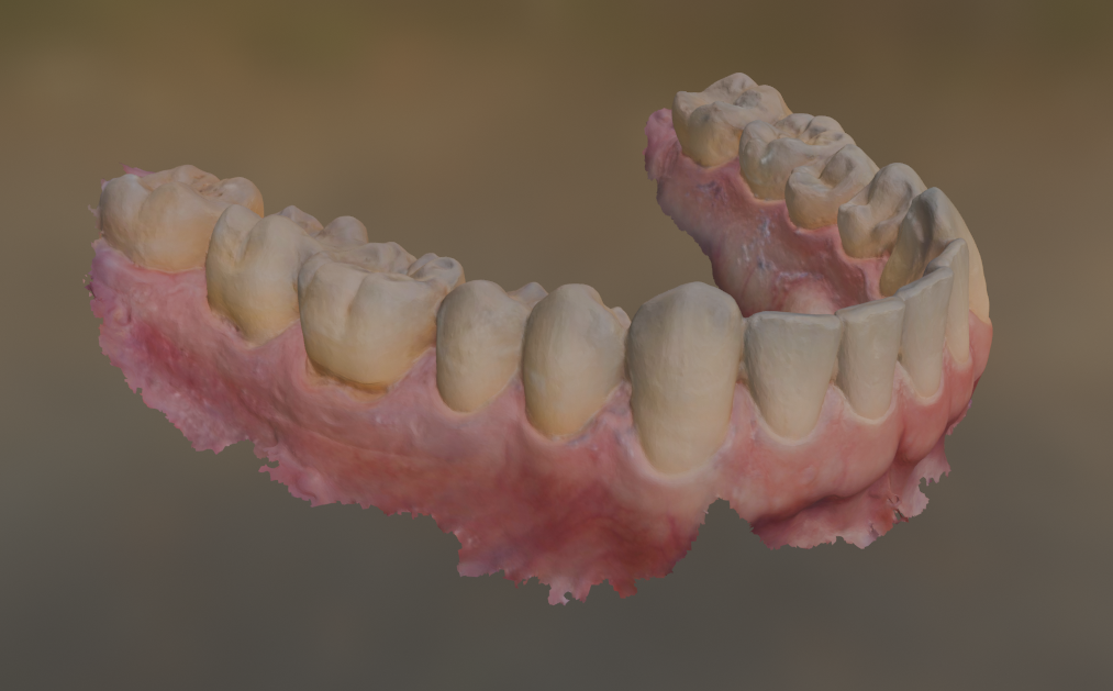 Lower jaw with albedo texture